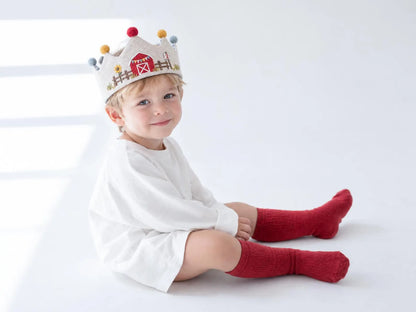 Personalized Farm Birthday Crown, Hand Embroidered Red Barn Linen Party Hat, Custom Name and Age, Farm Animal 2nd Birthday Party Photo Prop